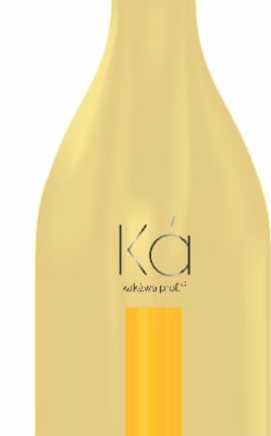 EMULSIÓN POS PROGRESSIVE ANDIROBA KA